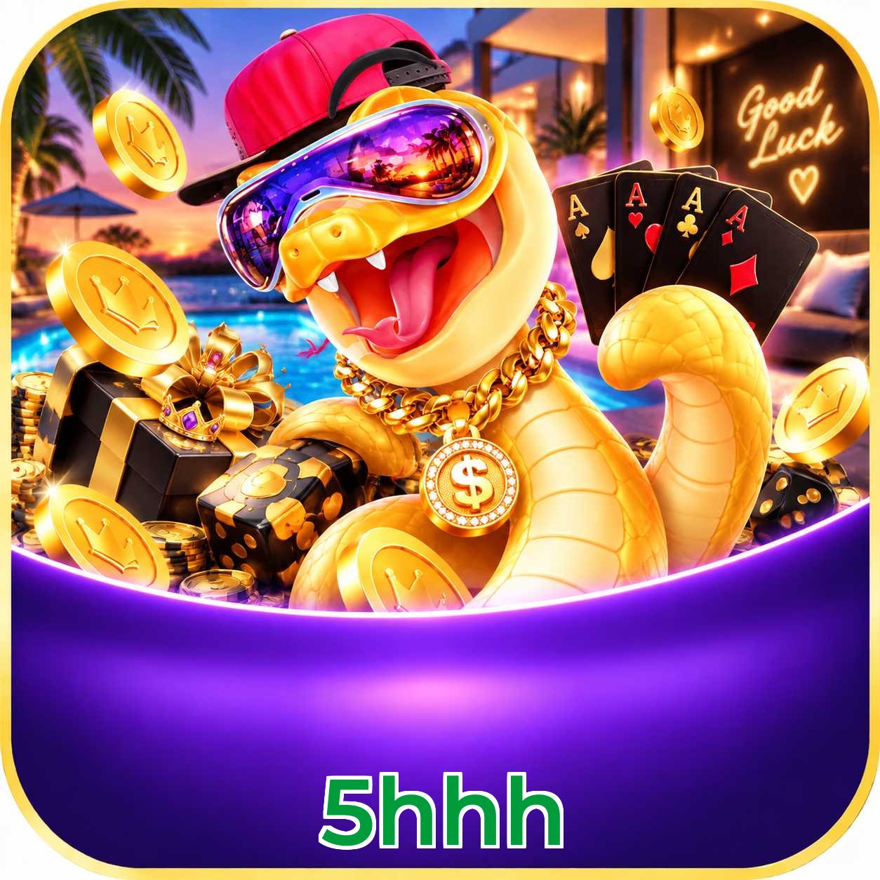5hhh VIP FAQ